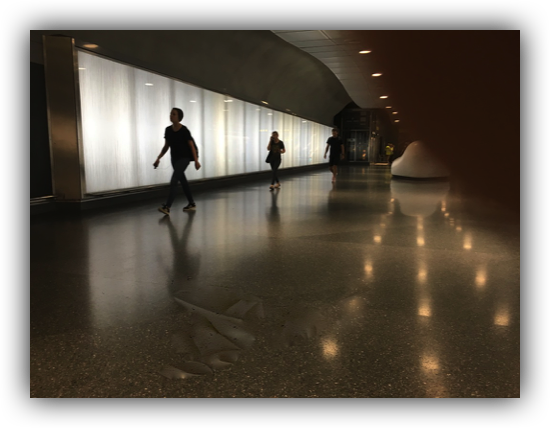 Stacks Image 61