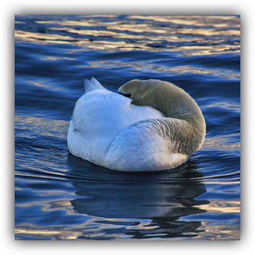 Stacks Image 65